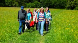 Im Buchenbachtal (Backnang - Winnenden)