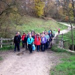 bei Ohmenhausen ( Wasenwald - Ohmenhausen)