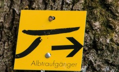 Albtraufgänger